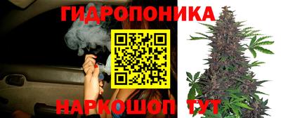 стафф Моздок