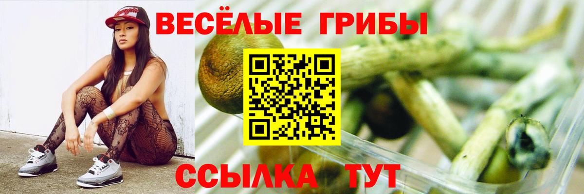 Галлюциногенные грибы мицелий Топки